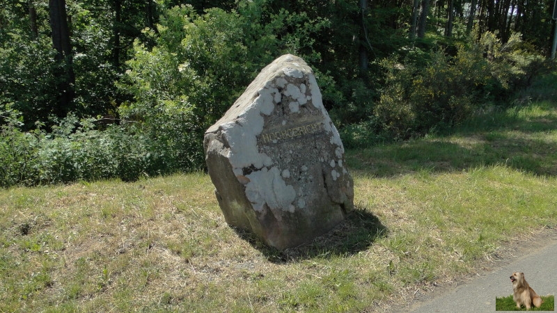 Ritterstein Nr. 106-4 Hochgericht 1767.JPG -  Ritterstein Nr.106  Hochgericht 1767                              